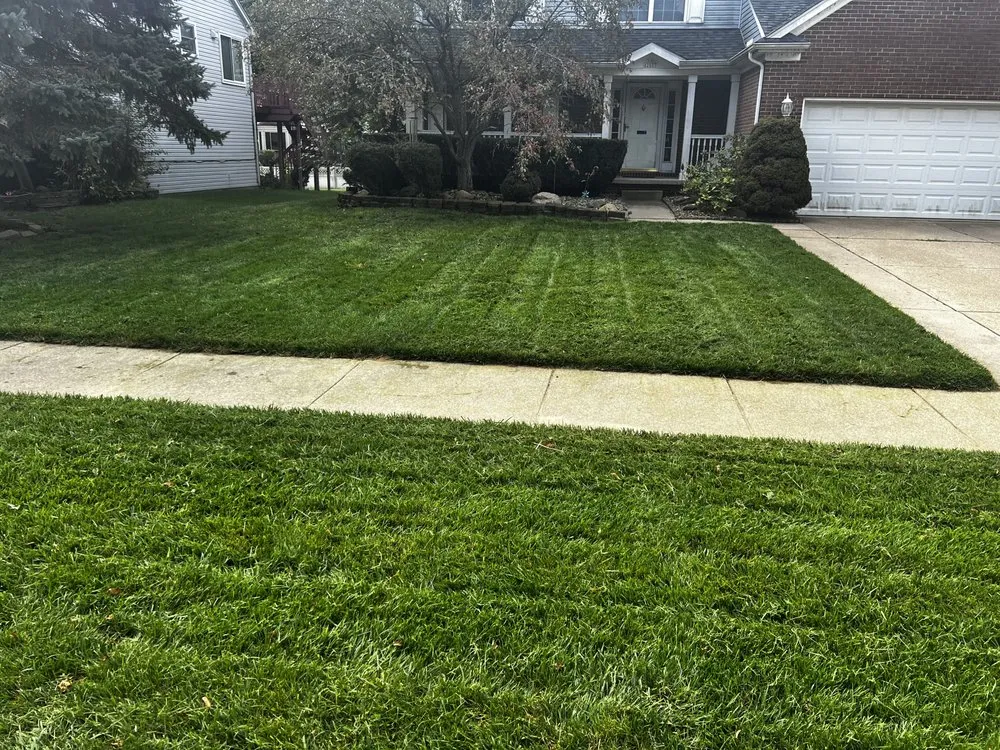 Affordable garden landscaping experts serving Westland, MI - Fortune Ferns