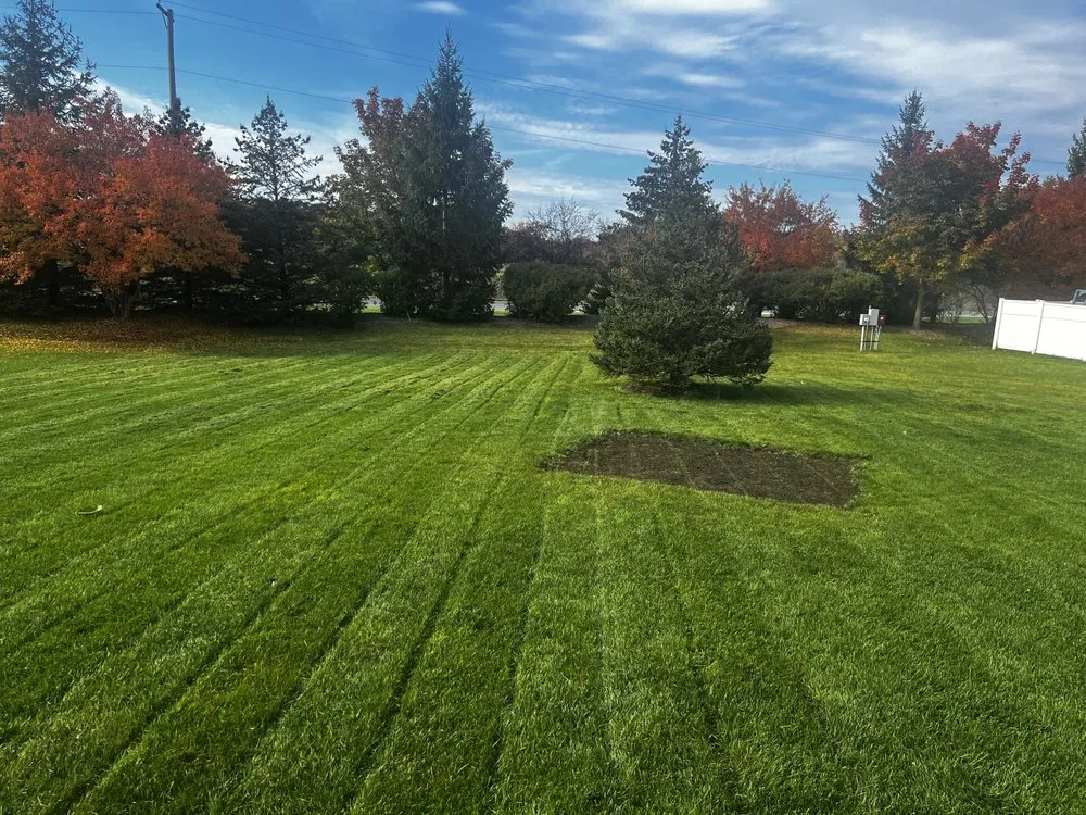 Local landscaping services experts serving Westland, MI - Fortune Ferns