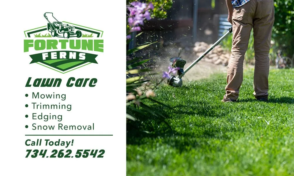 Affordable outdoor landscaping in Westland, MI by Fortune Ferns