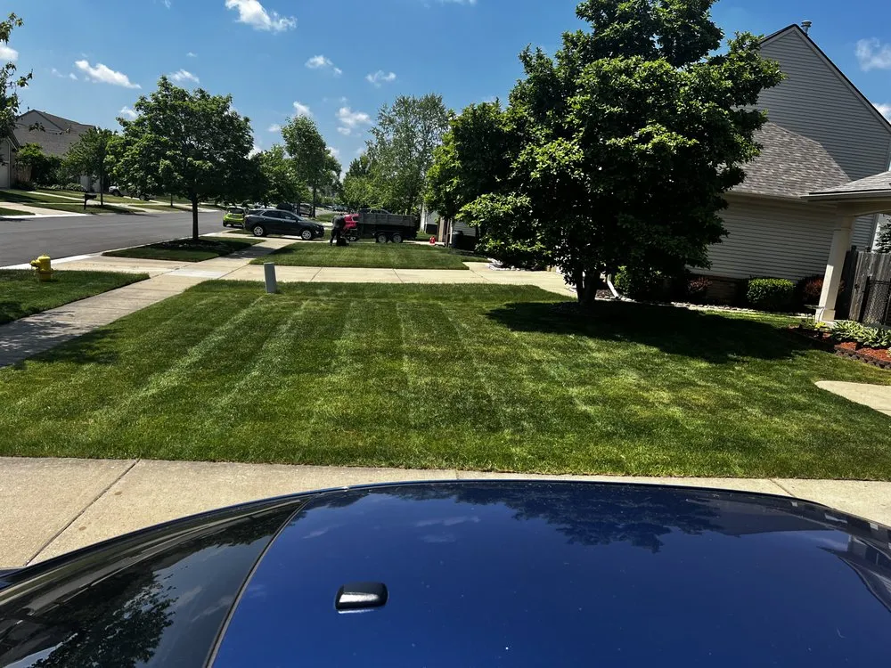 Professional outdoor landscaping experts serving Westland, MI - Fortune Ferns