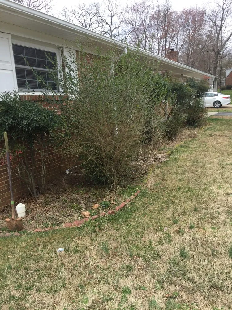 Affordable landscaping services in Rural Hall, NC by fortune landscaping