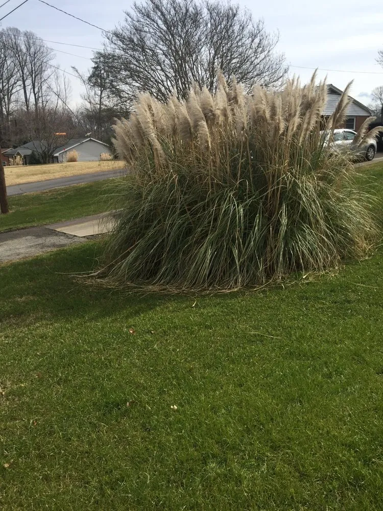 Expert landscape installation in Rural Hall, NC - fortune landscaping