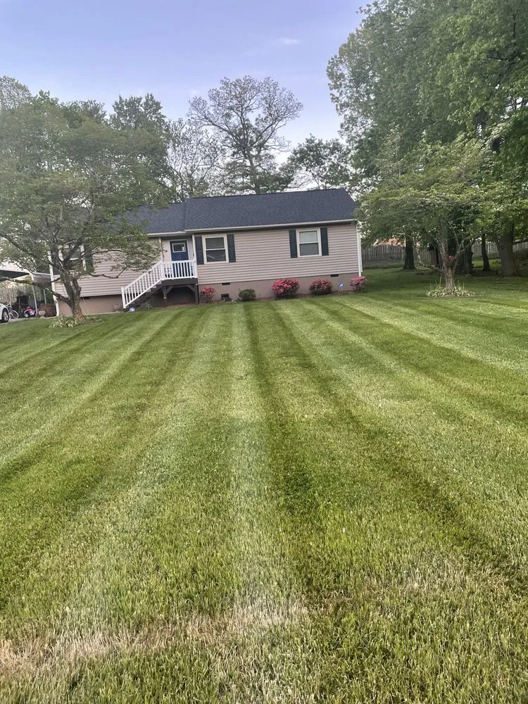 Trusted yard maintenance in Rural Hall, NC by fortune landscaping