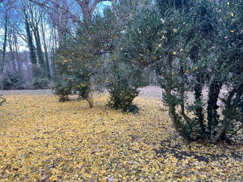 Custom landscape design in Louisa, VA - Fortunes Landscaping