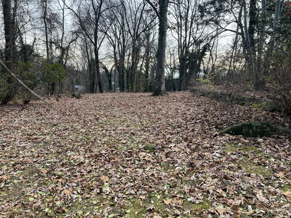 Expert outdoor landscaping in Louisa, VA - Fortunes Landscaping