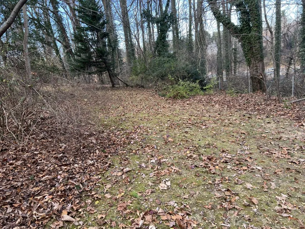 Custom yard cleanup service in Louisa, VA by Fortunes Landscaping