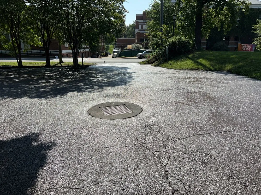 Custom yard cleanup service for outdoor upgrades in Louisa, VA by Fortunes Landscaping