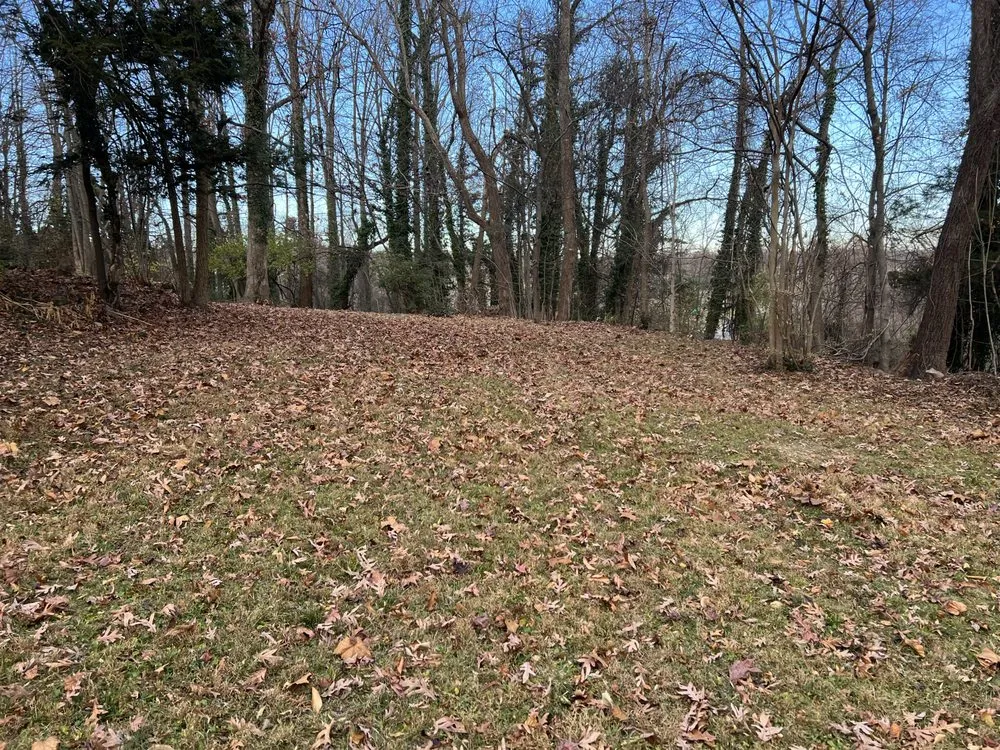 Top-rated lawn care service in Louisa, VA by Fortunes Landscaping