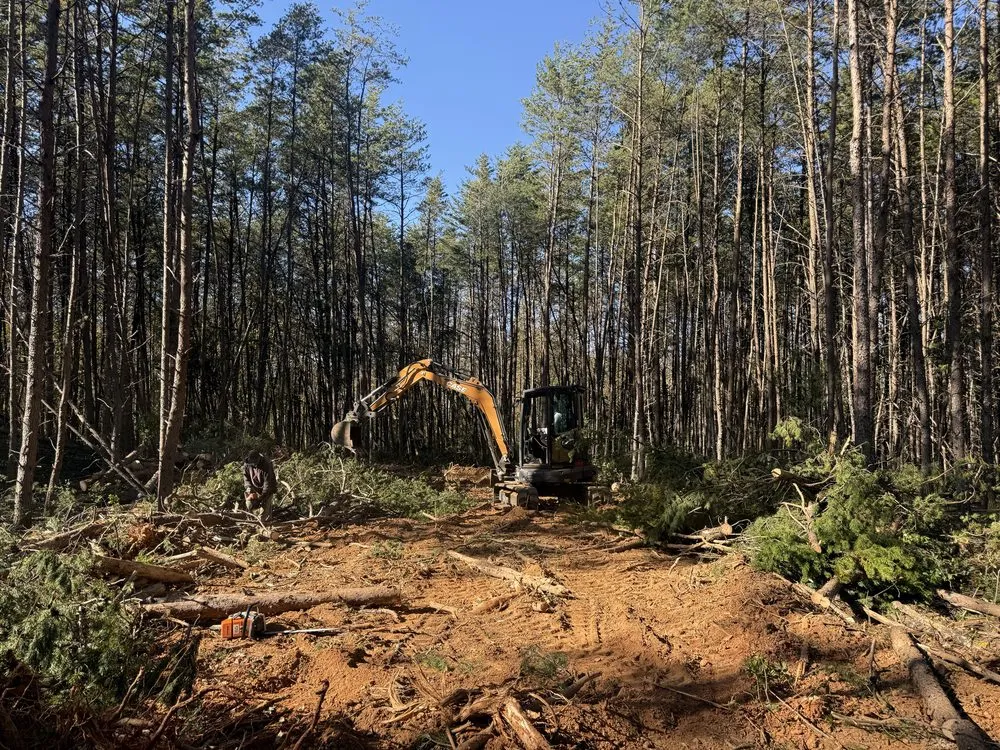 Reliable lawn care service for beautiful yards across Louisa, VA - Fortunes Landscaping