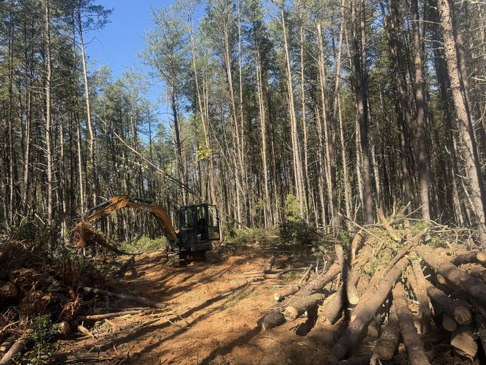 Custom yard maintenance for homes in Louisa, VA by Fortunes Landscaping