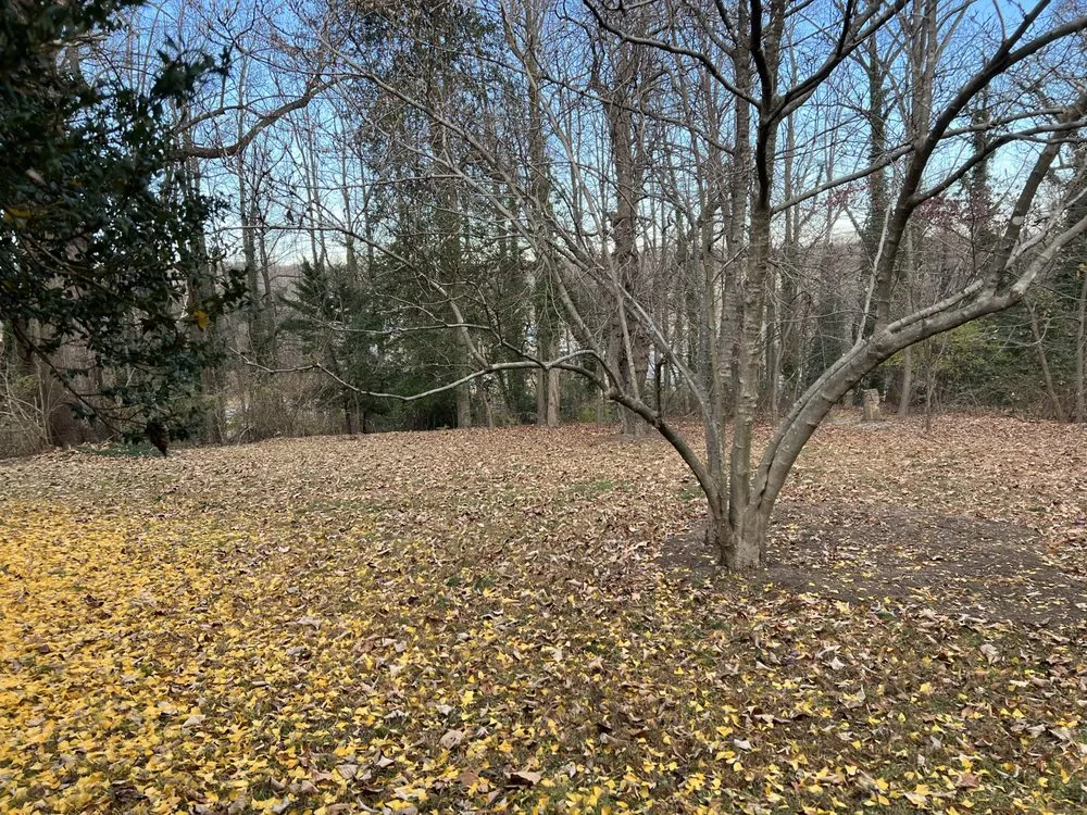 Local landscape design experts serving Louisa, VA - Fortunes Landscaping