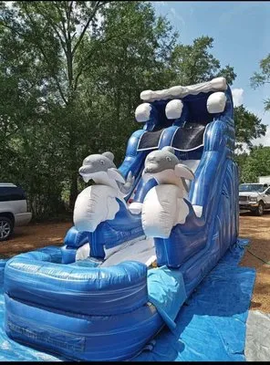 Forty-Nine Inflatables & Yard Maintenance