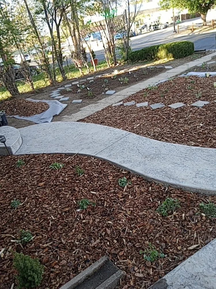 Expert landscape design experts serving denver, CO - Fortyfox Landscaping