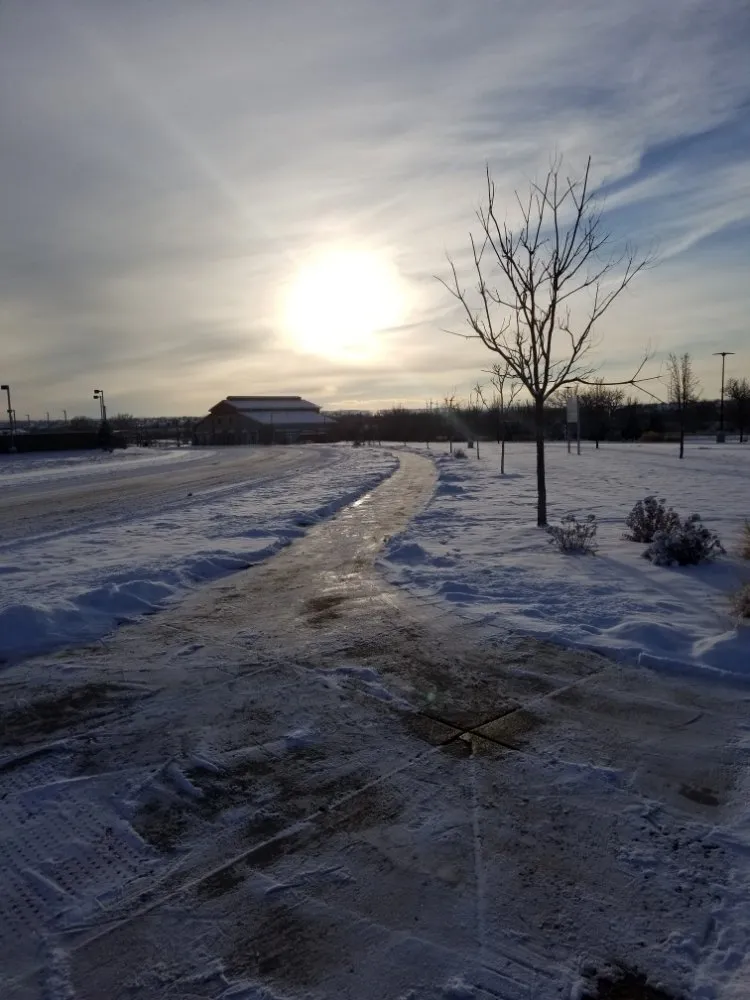 Trusted residential landscaping for residential properties in denver, CO by Fortyfox Landscaping