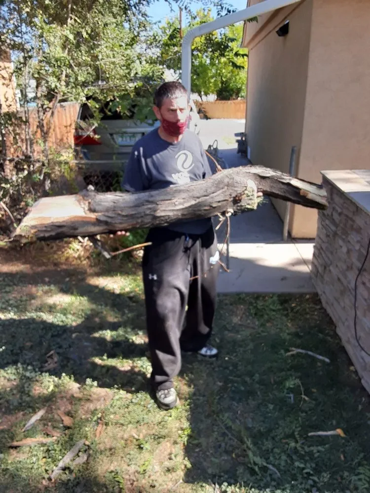 Affordable lawn mowing service for outdoor upgrades in denver, CO by Fortyfox Landscaping