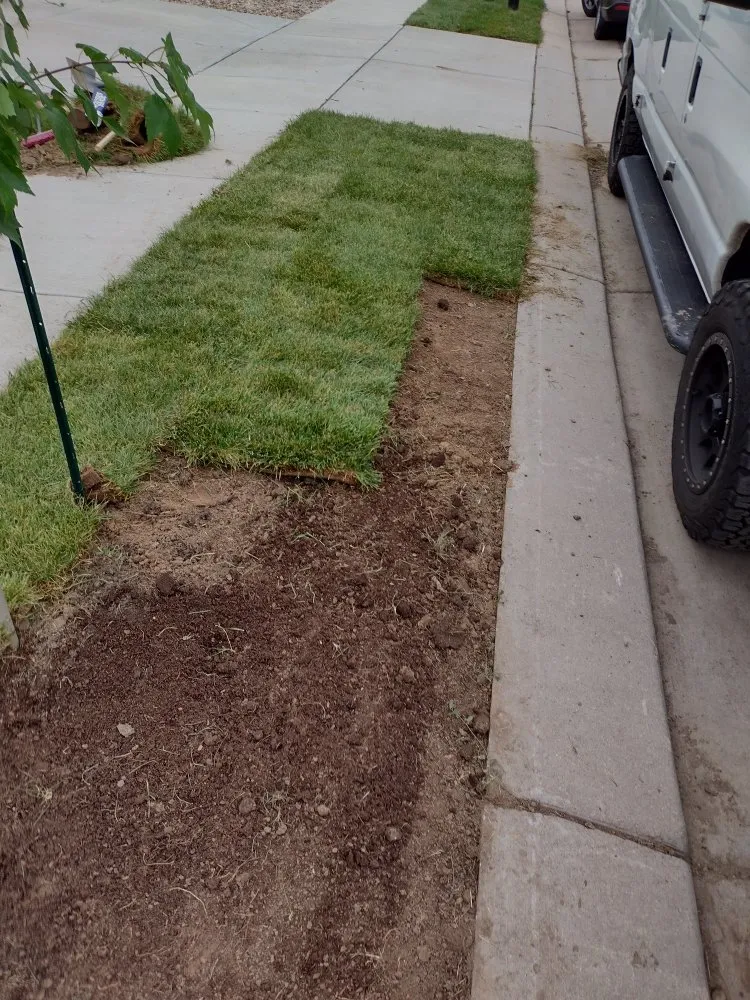 Reliable yard maintenance in denver, CO by Fortyfox Landscaping