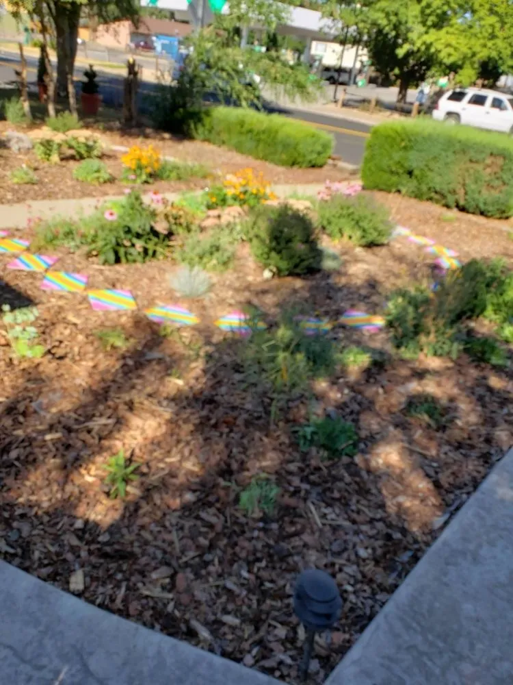 Reliable garden landscaping near you in denver, CO by Fortyfox Landscaping
