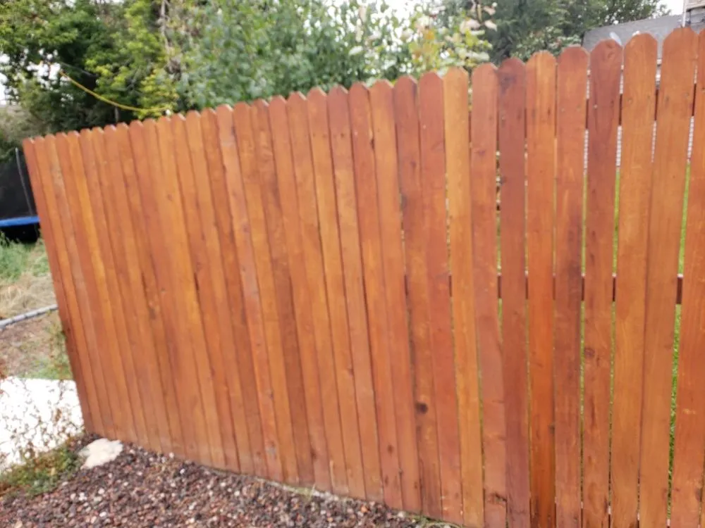 Affordable lawn care service for year-round maintenance in denver, CO by Fortyfox Landscaping