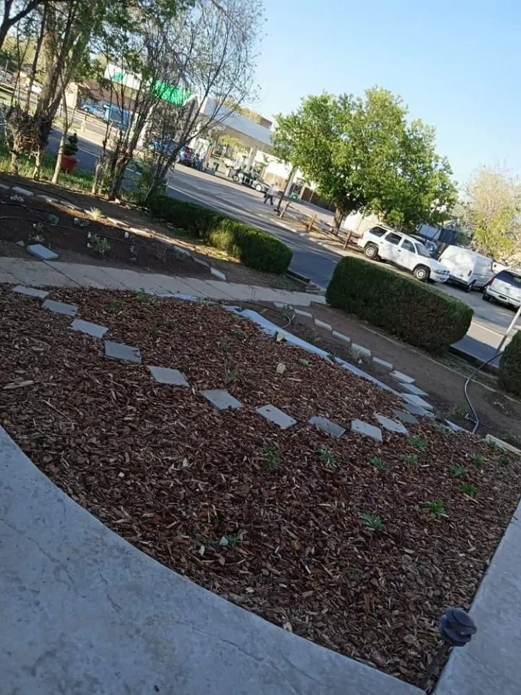 Custom lawn care service for residential properties in denver, CO by Fortyfox Landscaping