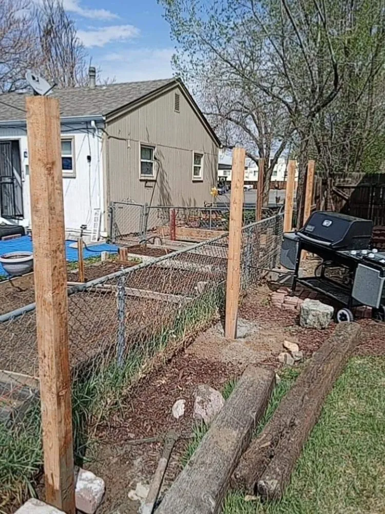 Professional landscape design in denver, CO by Fortyfox Landscaping