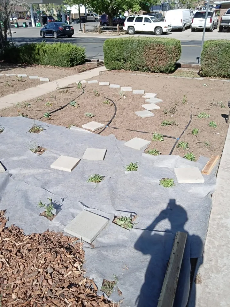 Trusted landscape design for homes across denver, CO - Fortyfox Landscaping