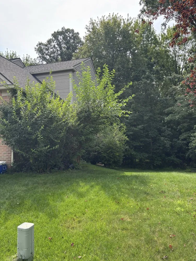 Local garden landscaping in Detroit, MI - Forward Action Solutions