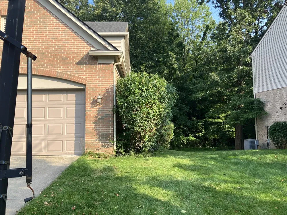 Professional landscaping services near you in Detroit, MI by Forward Action Solutions