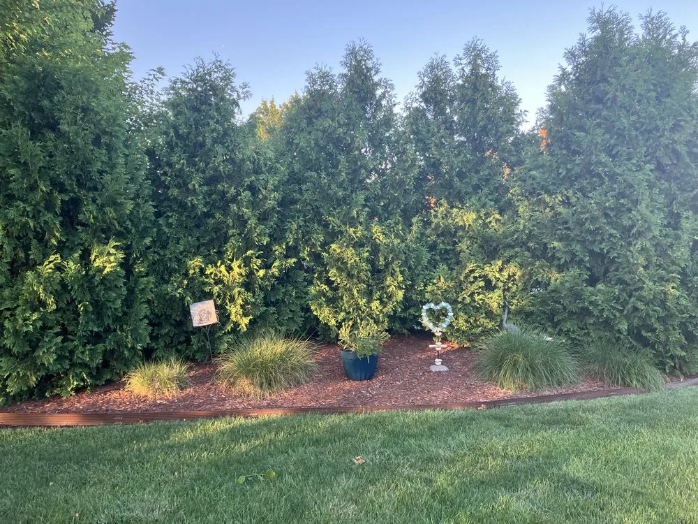 Expert yard maintenance experts serving Detroit, MI - Forward Action Solutions