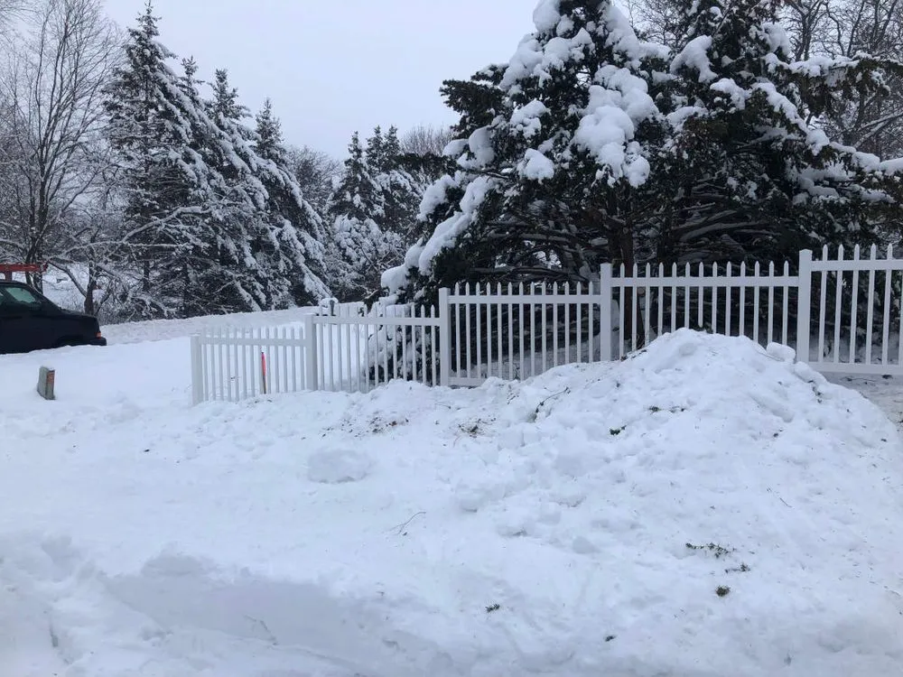 Professional yard cleanup service in Coon Rapids, MN by Foss Fence & Landscaping