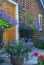 Top-rated landscape design experts serving Sagamore Beach, MA - Foster Creative Designs