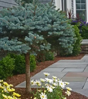 Custom residential landscaping for residential properties in Sagamore Beach, MA by Foster Creative Designs