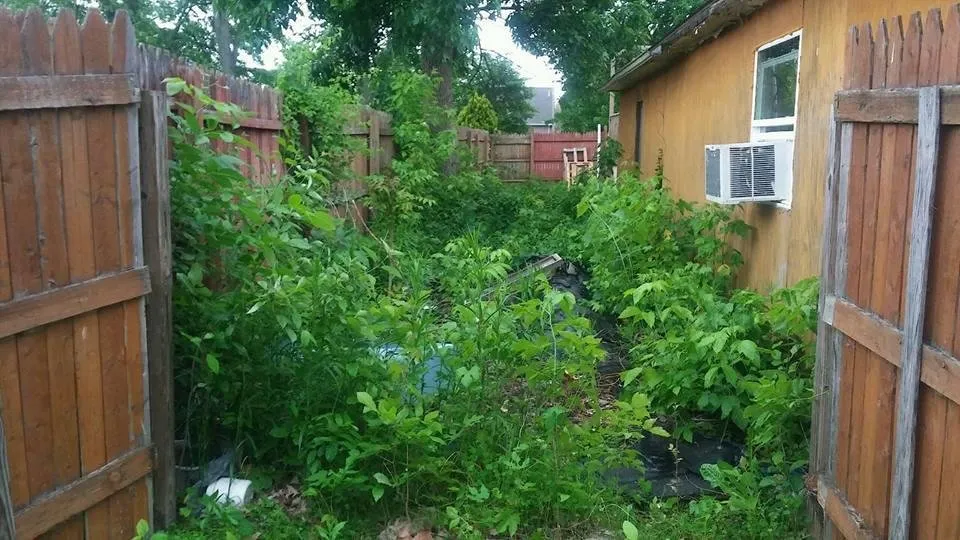 Professional lawn care service near you across Saginaw, MI - Fosters Development