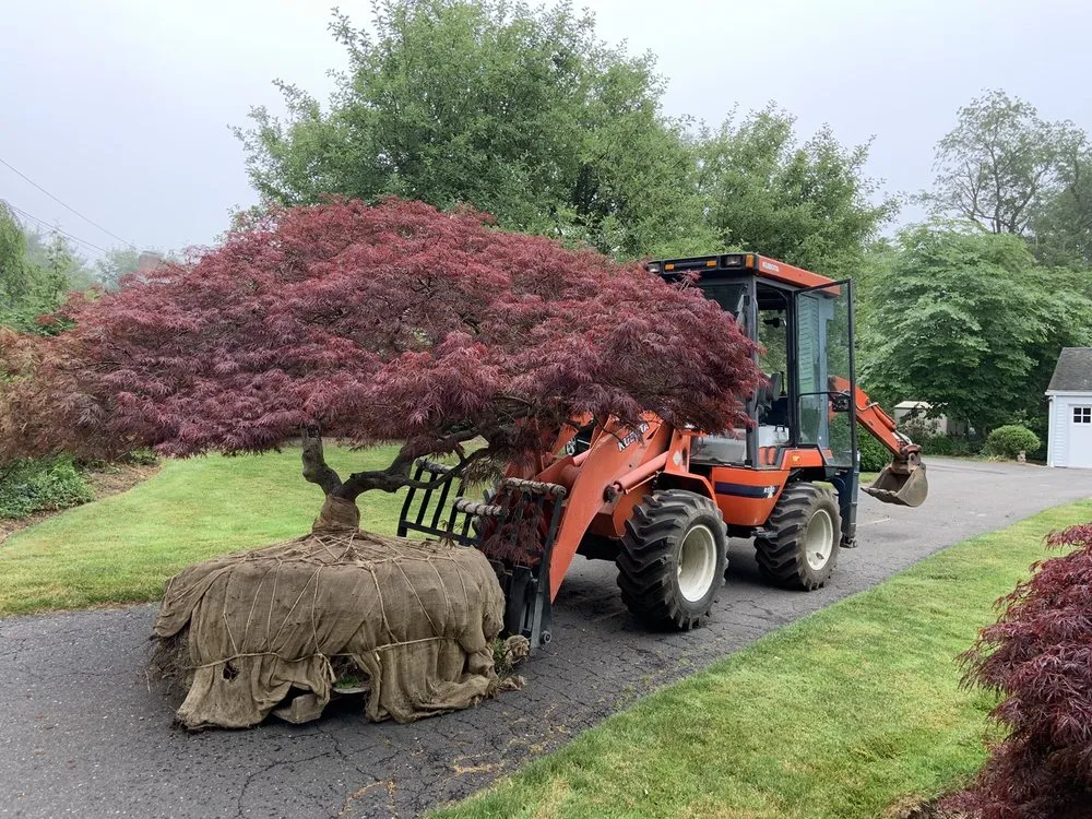 Local lawn mowing service experts serving Easton, CT - Foster's