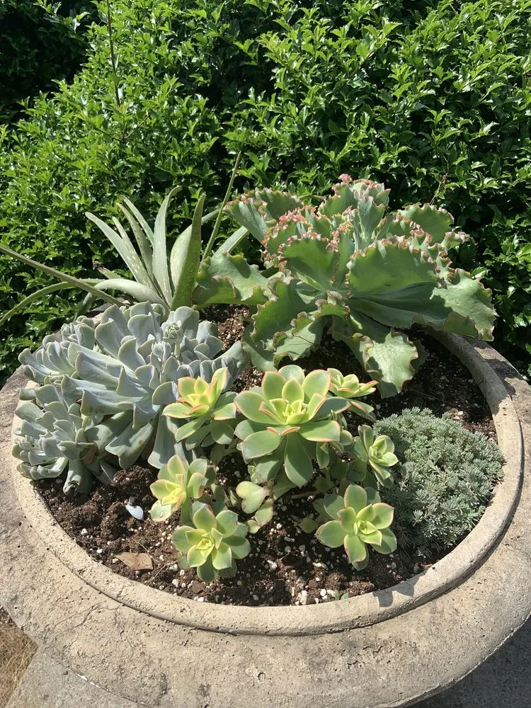 Expert yard maintenance experts serving Easton, CT - Foster's