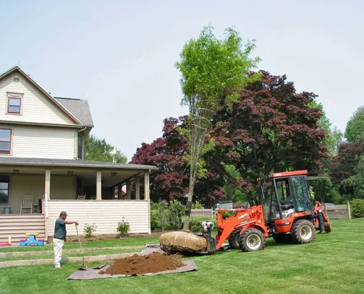 Top-rated yard cleanup service for beautiful yards across Easton, CT - Foster's