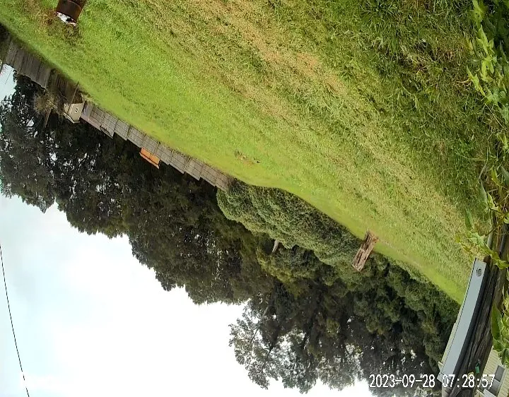 Expert landscaping services in Union, SC by Foster's Landscaping and More