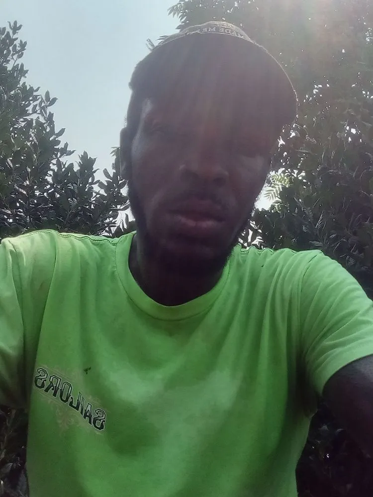 Top-rated yard cleanup service for year-round maintenance in Union, SC by Foster's Landscaping and More