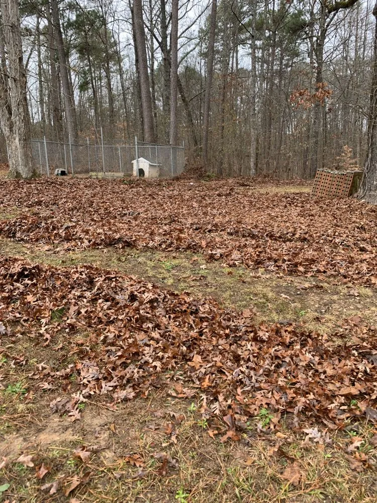 Local outdoor landscaping for outdoor upgrades across Covington, GA - Fosters Landscaping