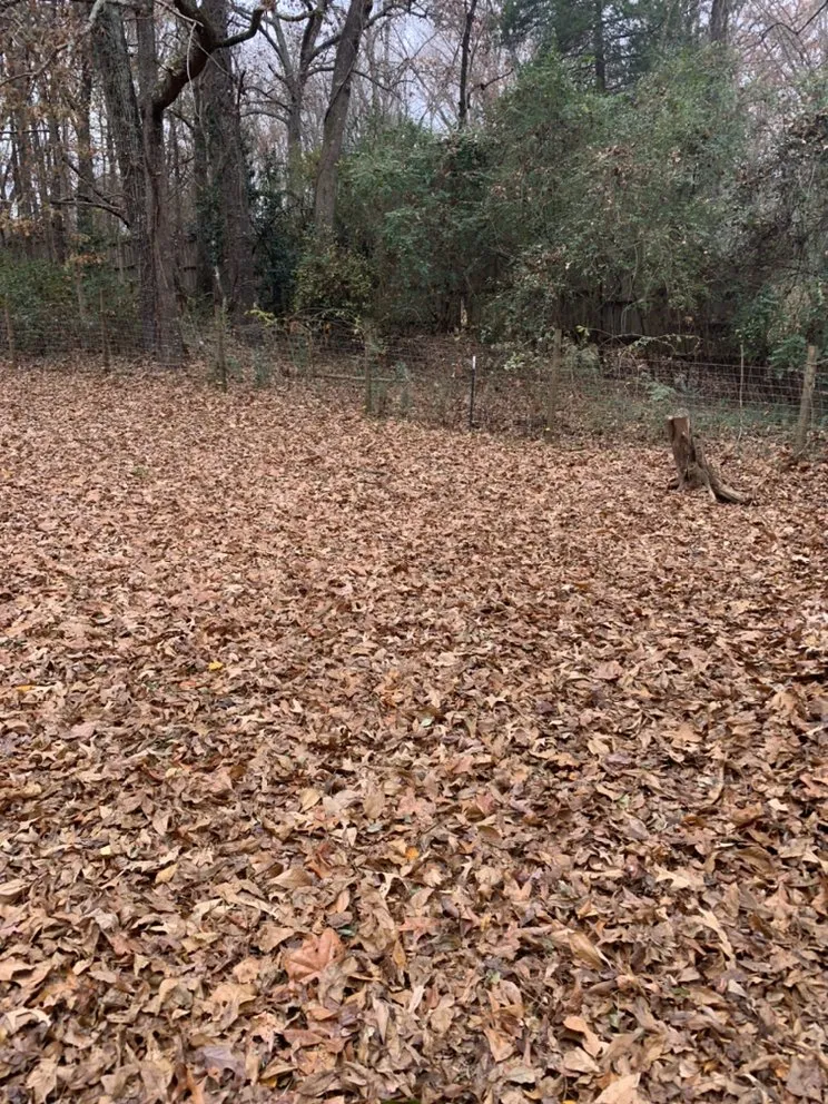 Trusted residential landscaping in Covington, GA - Fosters Landscaping