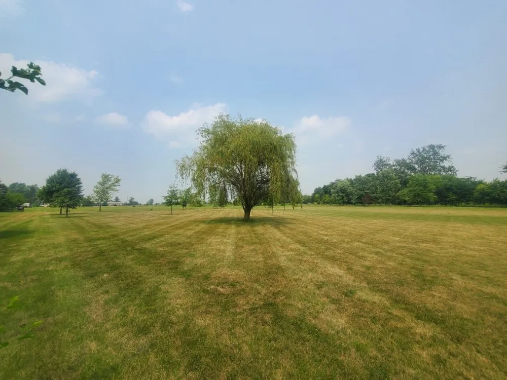 Affordable lawn care service in Columbus Grove, OH by Fosters Lawn and Garden