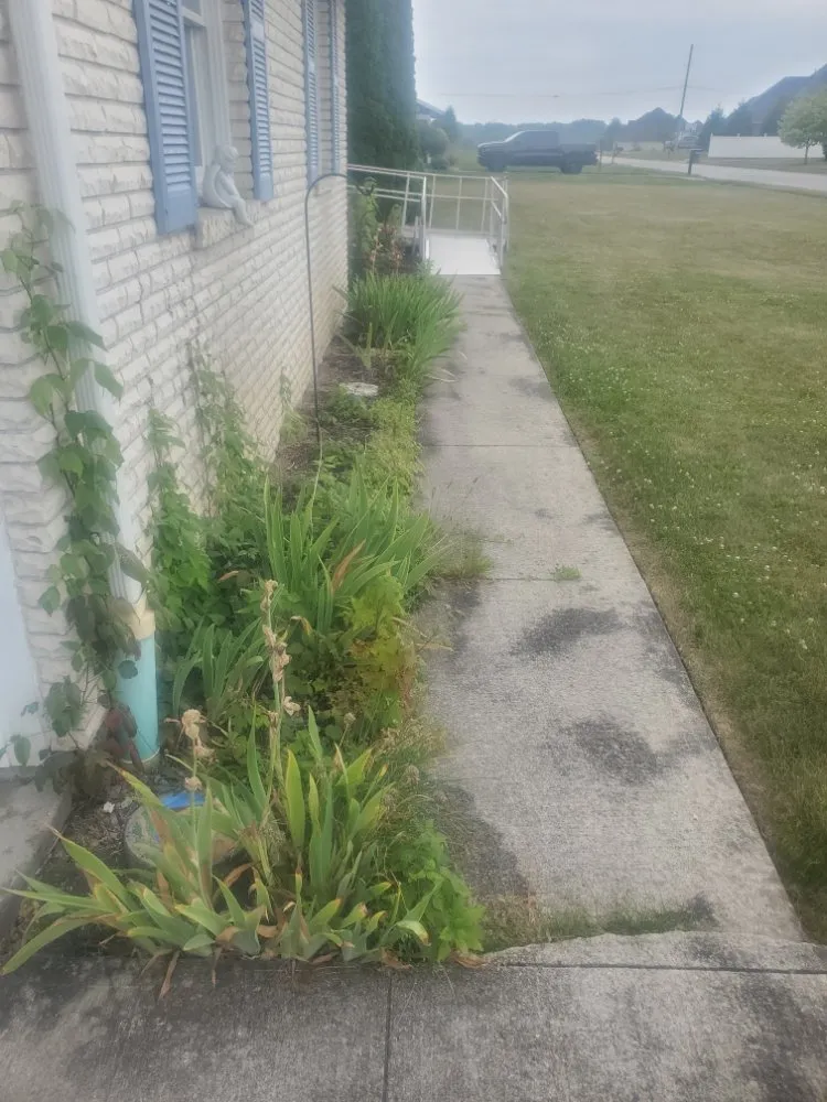 Top-rated landscape installation in Columbus Grove, OH - Fosters Lawn and Garden