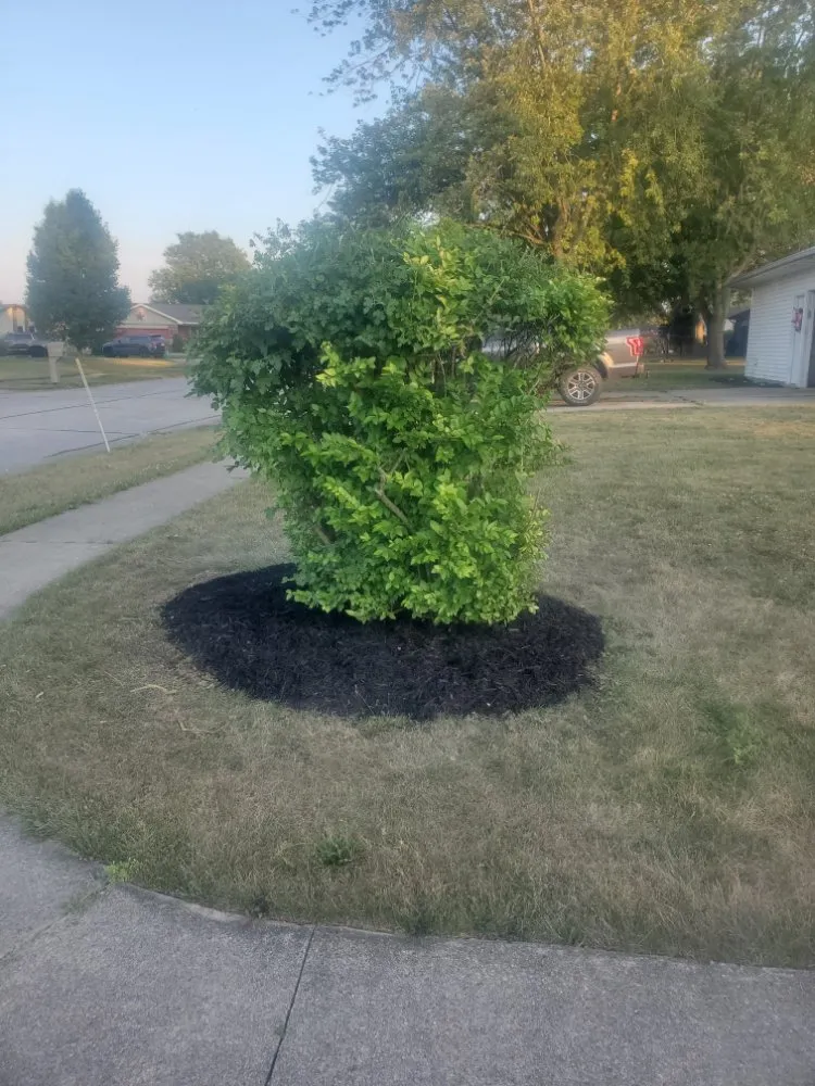 Local landscaping services in Columbus Grove, OH - Fosters Lawn and Garden