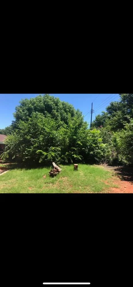 Expert landscape design in Norman, OK by Foster’s Lawn and Landscape