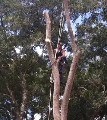 Professional lawn care service for homes across Daytona Beach, FL - Foster's Lawn and Tree Service