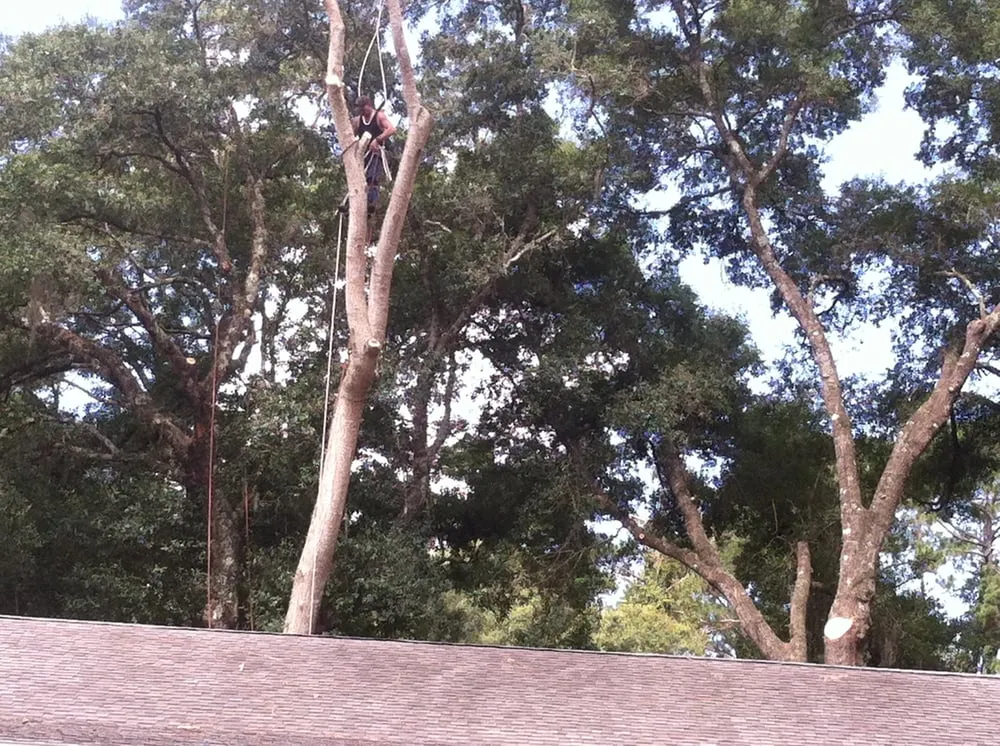 Expert landscape design in Daytona Beach, FL by Foster's Lawn and Tree Service