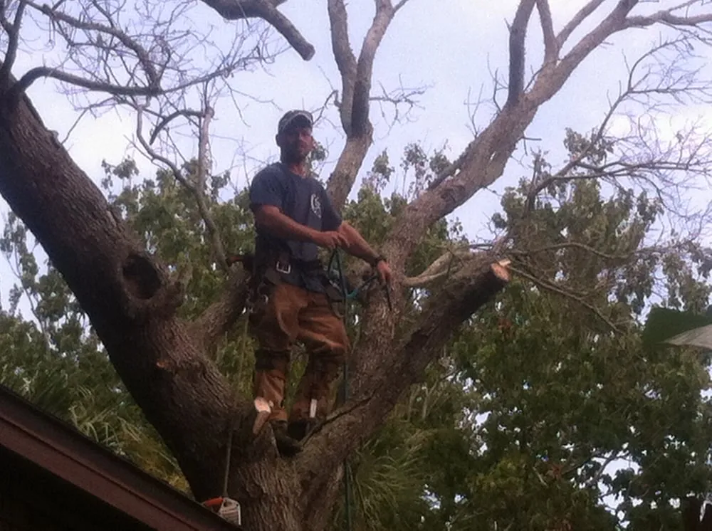 Local landscaping services for year-round maintenance across Daytona Beach, FL - Foster's Lawn and Tree Service