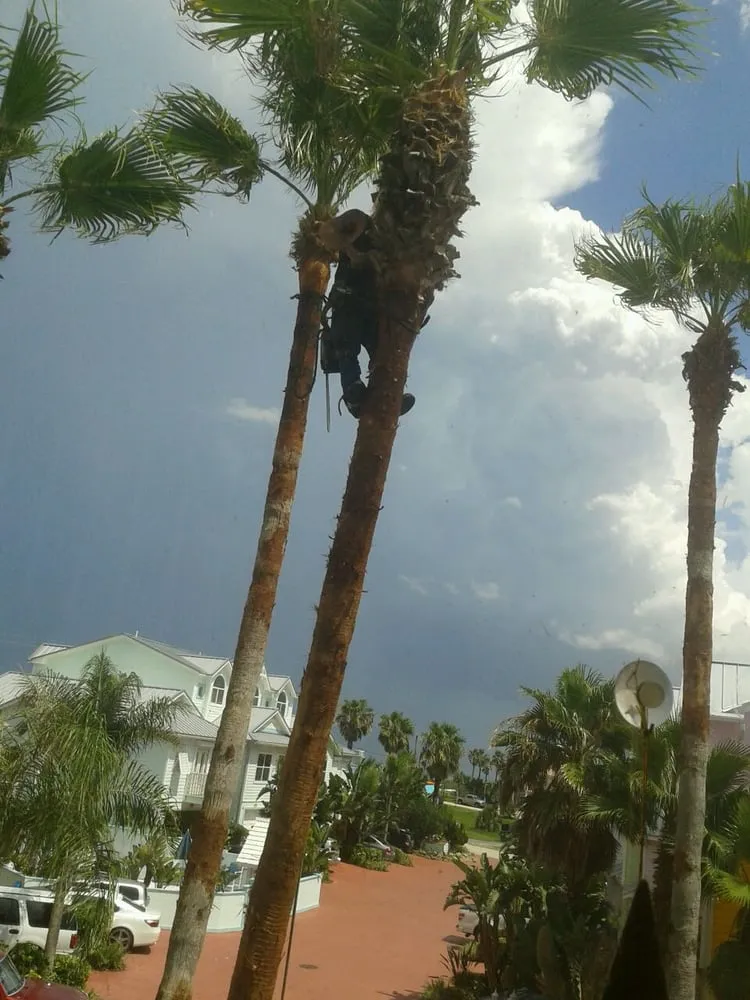 Custom landscape installation experts serving Daytona Beach, FL - Foster's Lawn and Tree Service