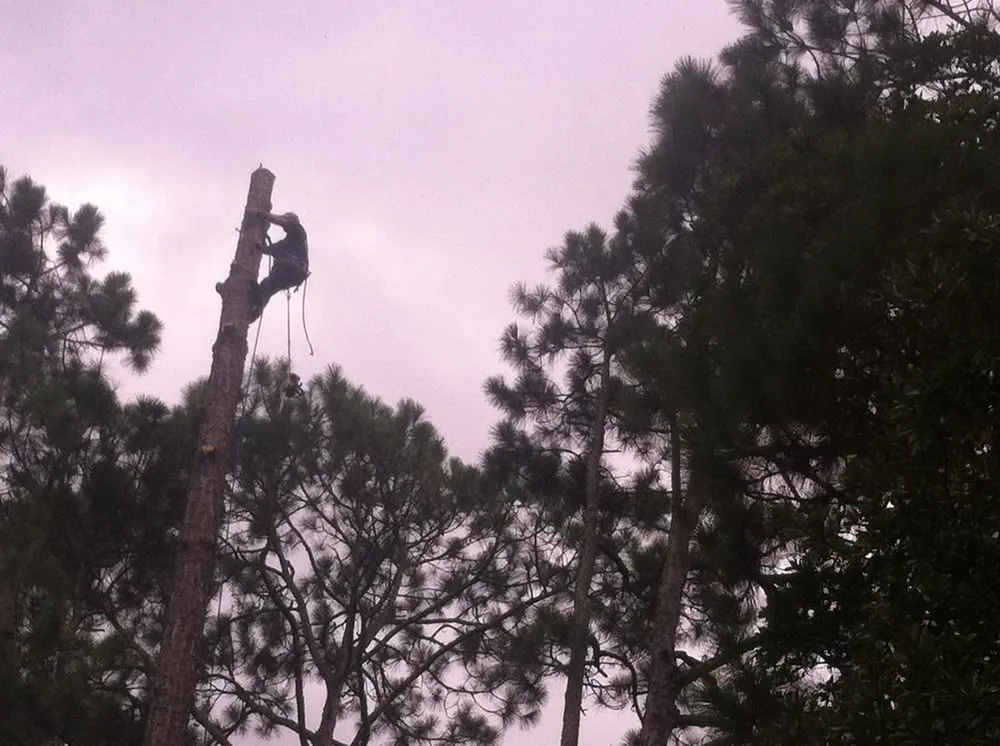 Reliable residential landscaping for outdoor upgrades in Daytona Beach, FL by Foster's Lawn and Tree Service