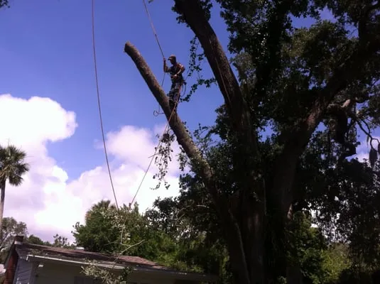 Foster's Lawn and Tree Service