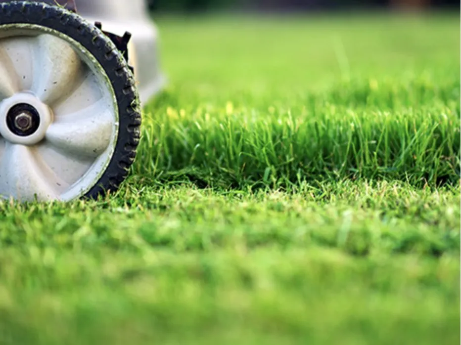 Custom landscaping services experts serving Dunn, NC - Fosters Lawn Care